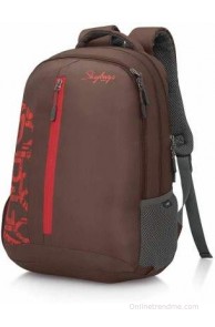 Skybags Geo 02 2.5 L Backpack(Brown, Size - 170)